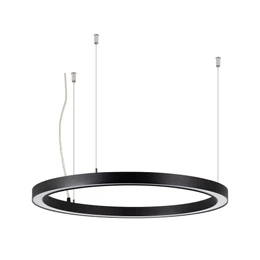 Фото #1 товара Светильник SP-CIRCLE-HANG-O3535-D600-35W Warm3000 (RAL9005, 120 deg, 230V) IP40 LED (Arlight, Алюминий)